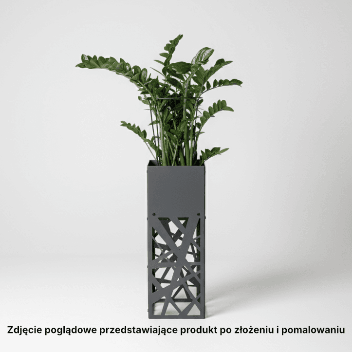 Wybrane zdjęcie