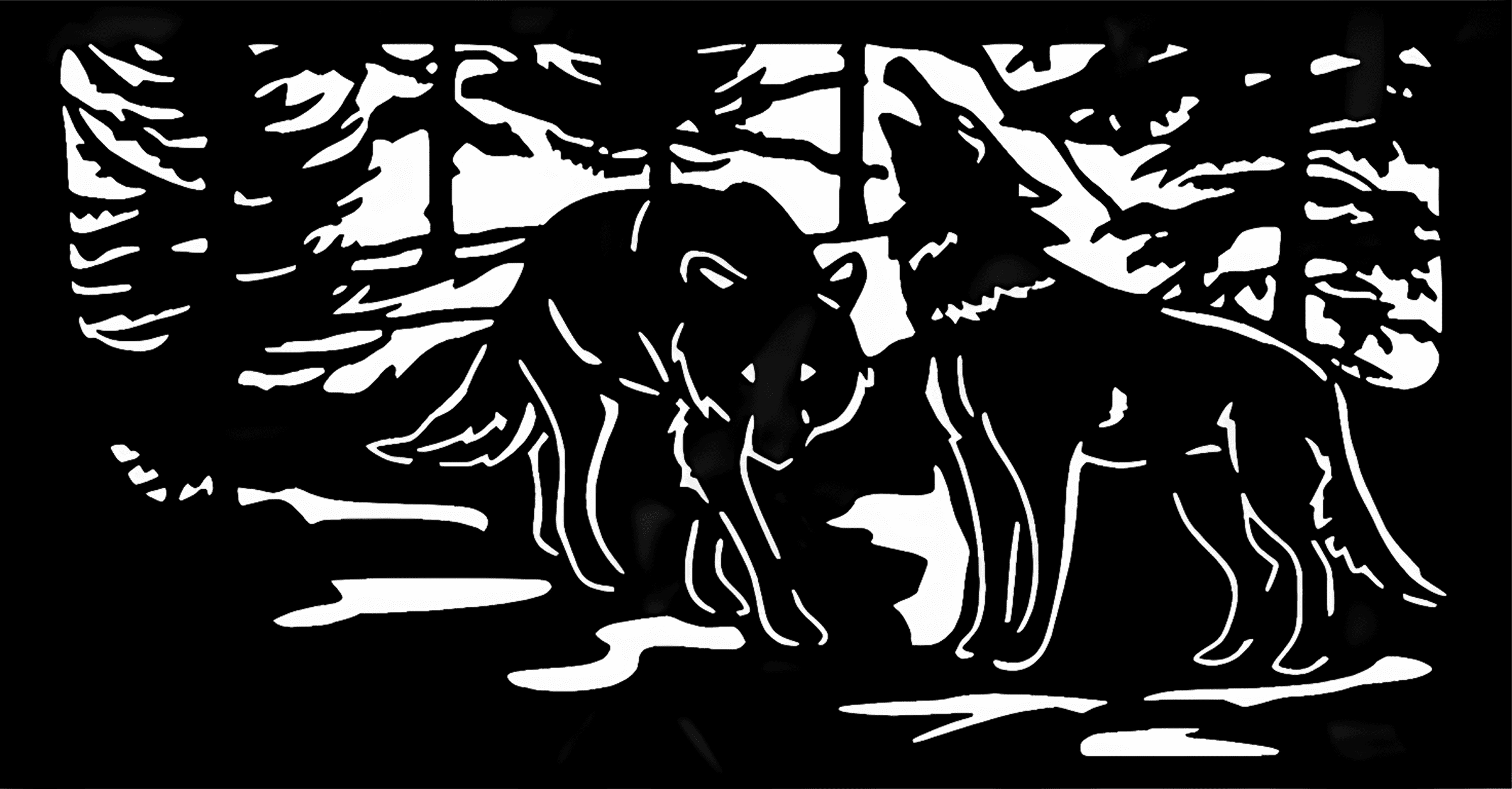 Panel pattern